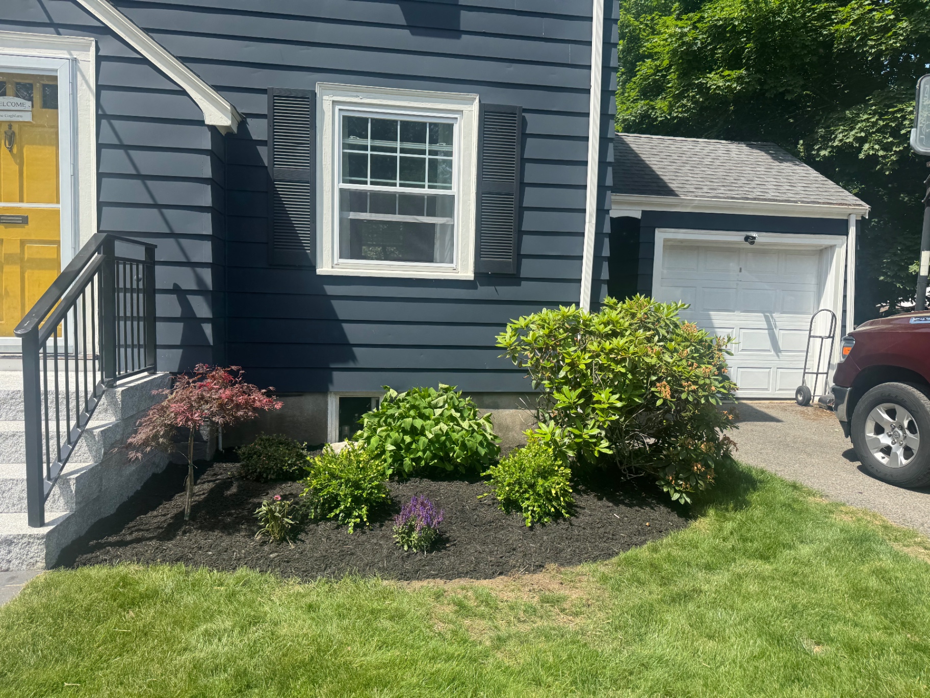 Side foundation bed with Japanese maple, hydrangea, and evergreen shrubs beside a driveway