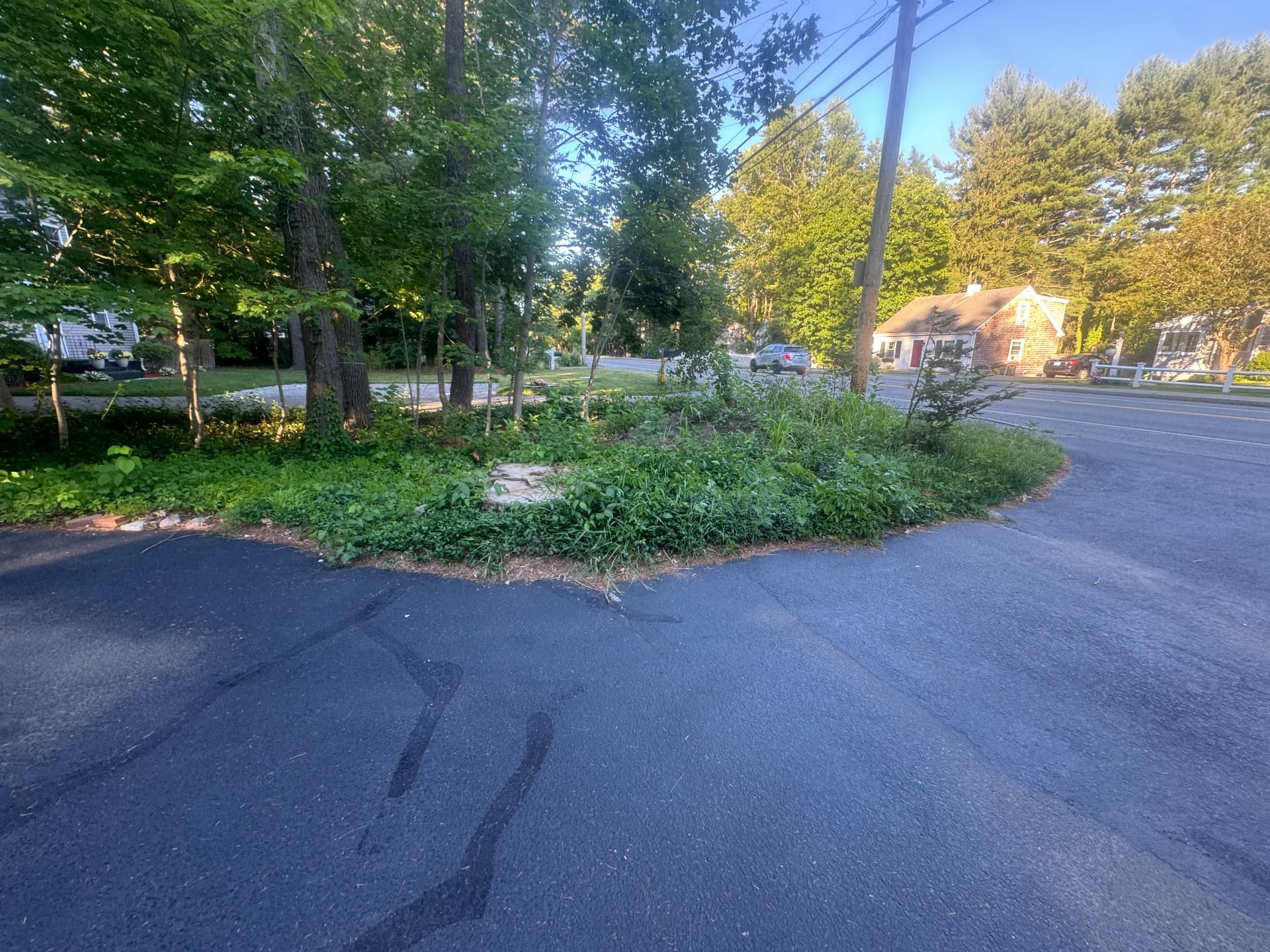 Sharon Corner Garden — before view 1
