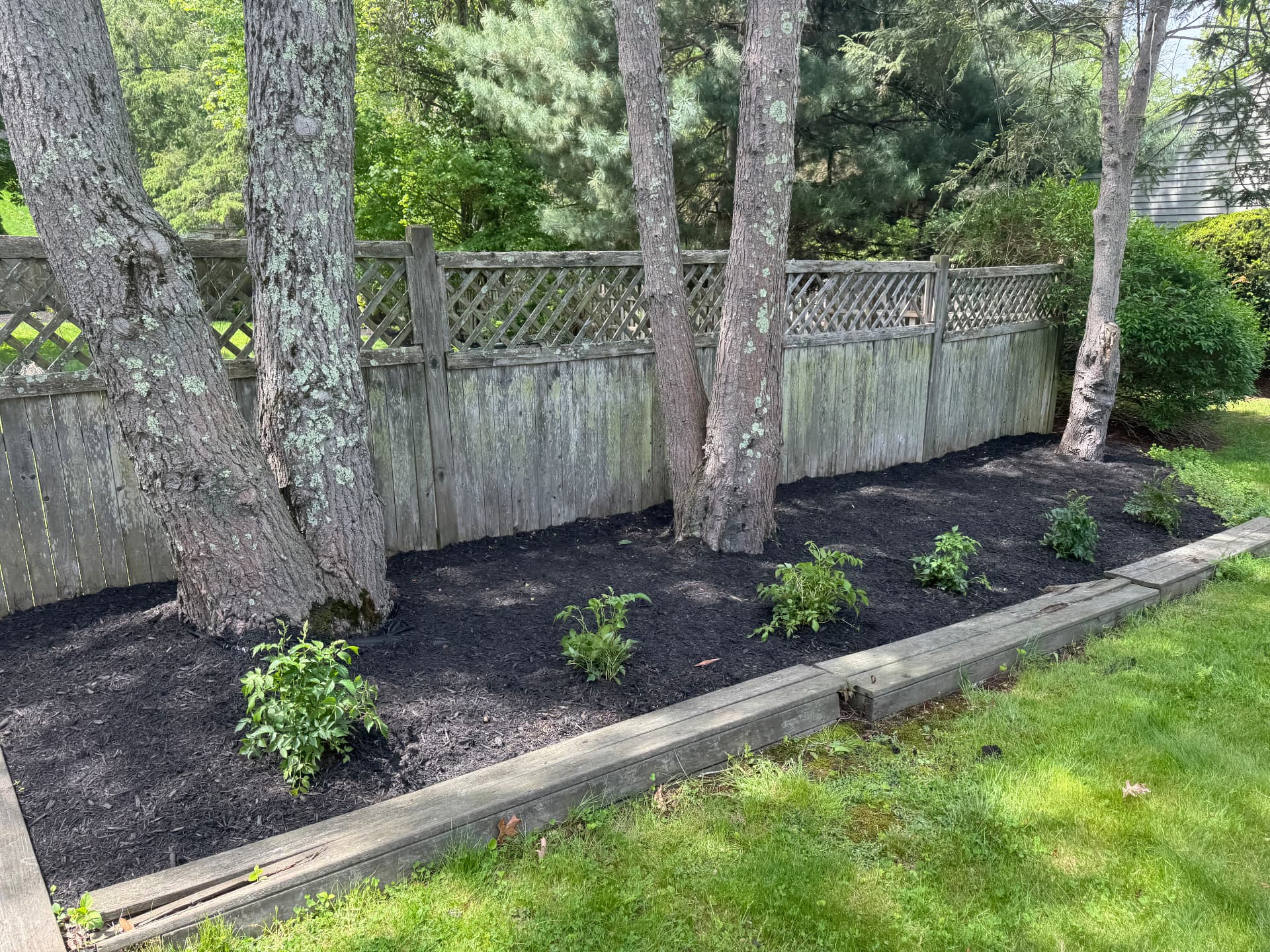 Needham Garden Renewal — view 8
