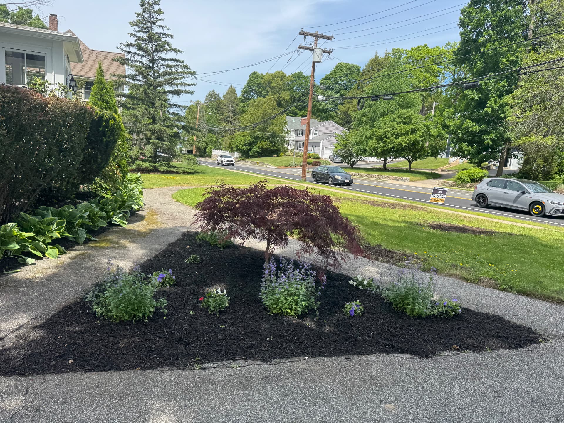 Needham Garden Renewal — view 2