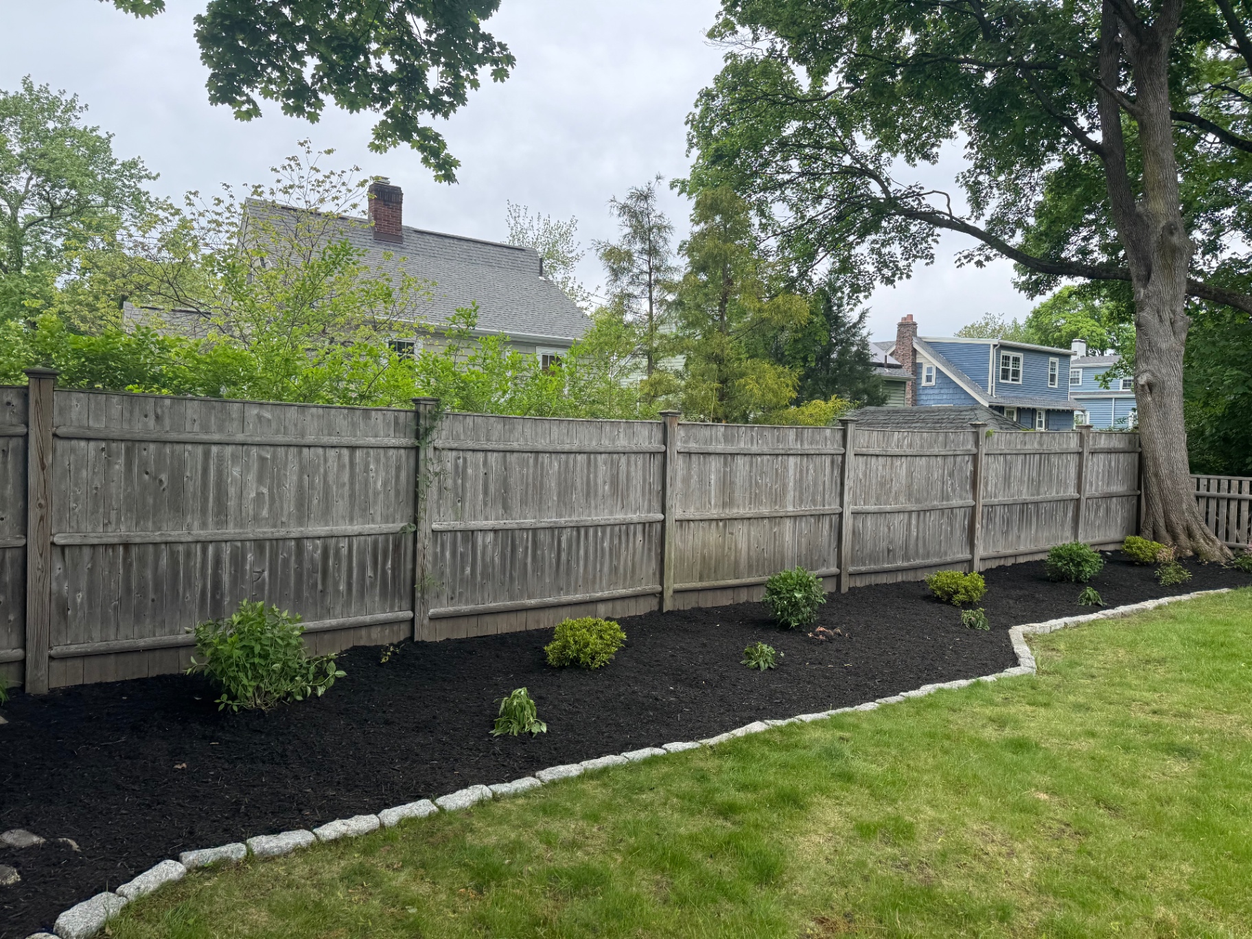 Fence-line planting bed with fresh mulch and newly installed shrubs