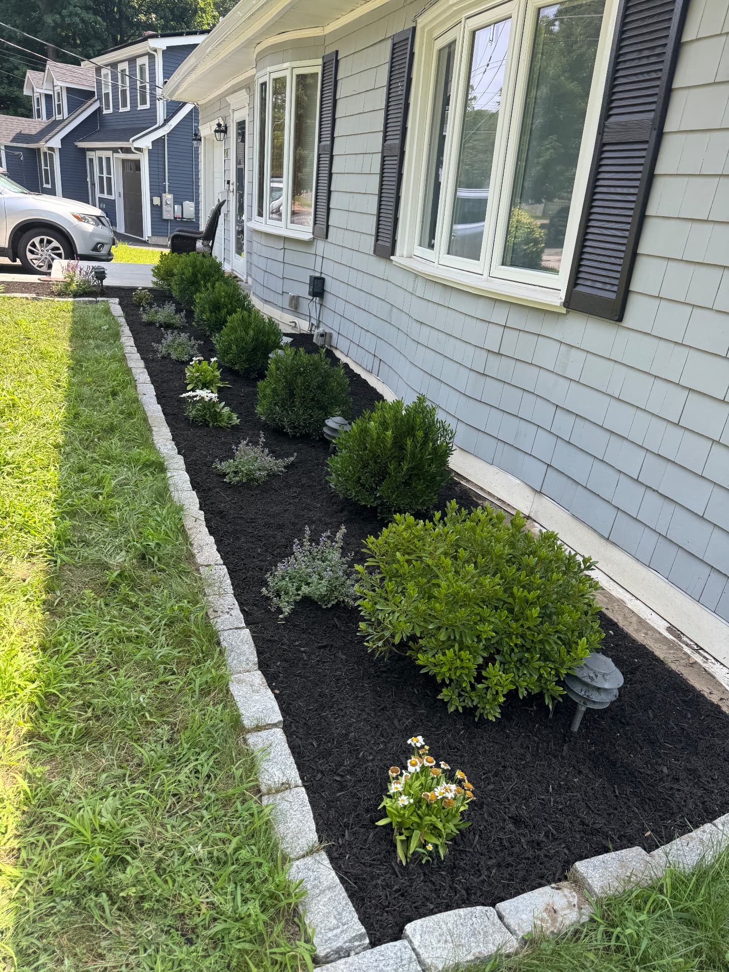 Westwood Front Garden — view 2