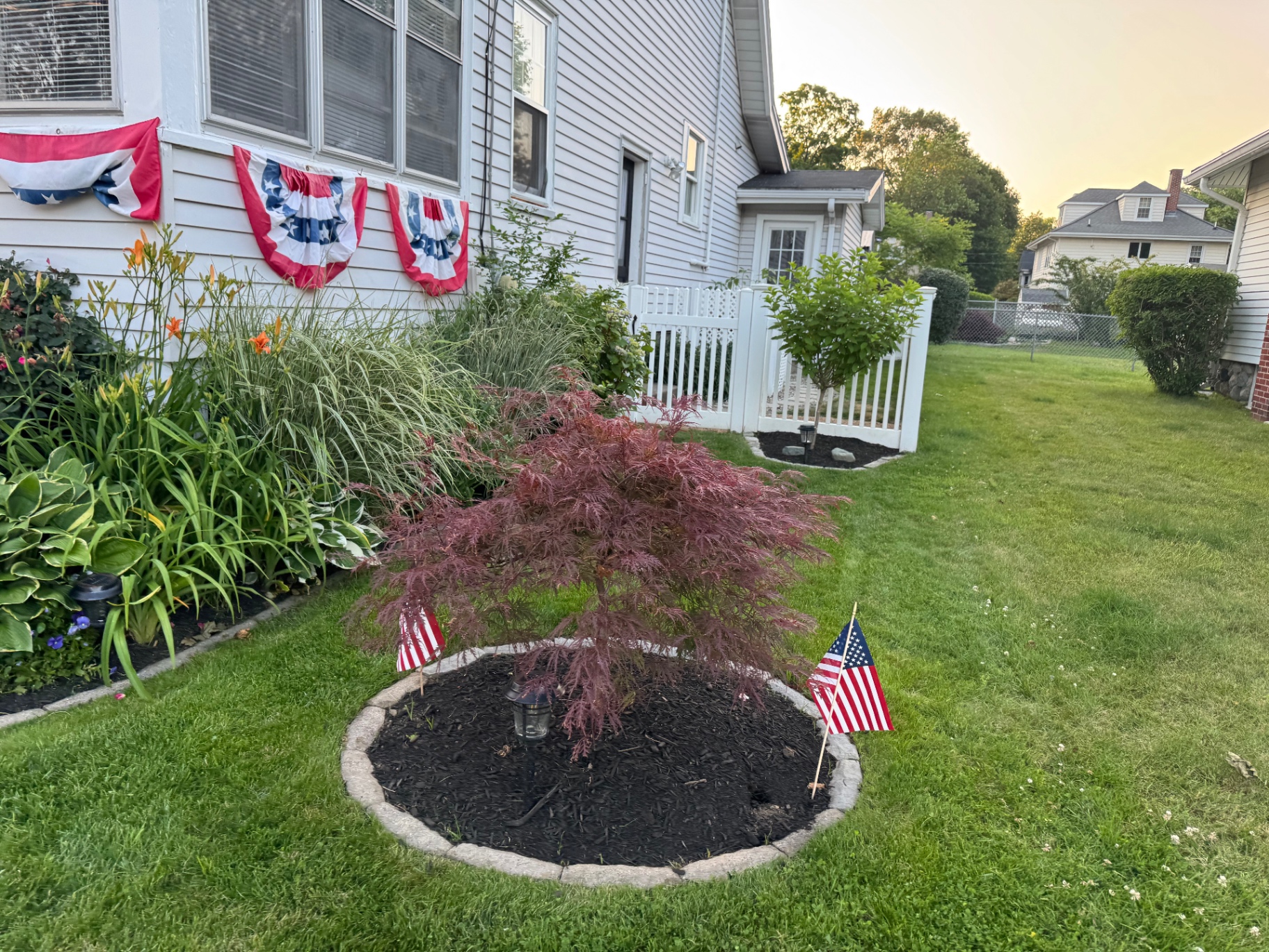 Japanese maple planting bed at a Dedham property