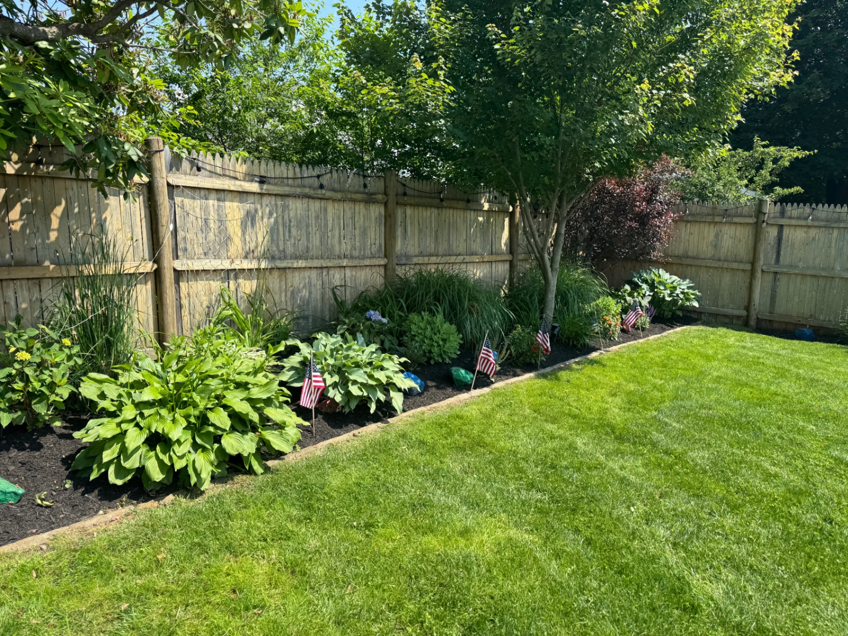 Backyard perimeter planting bed in Dedham