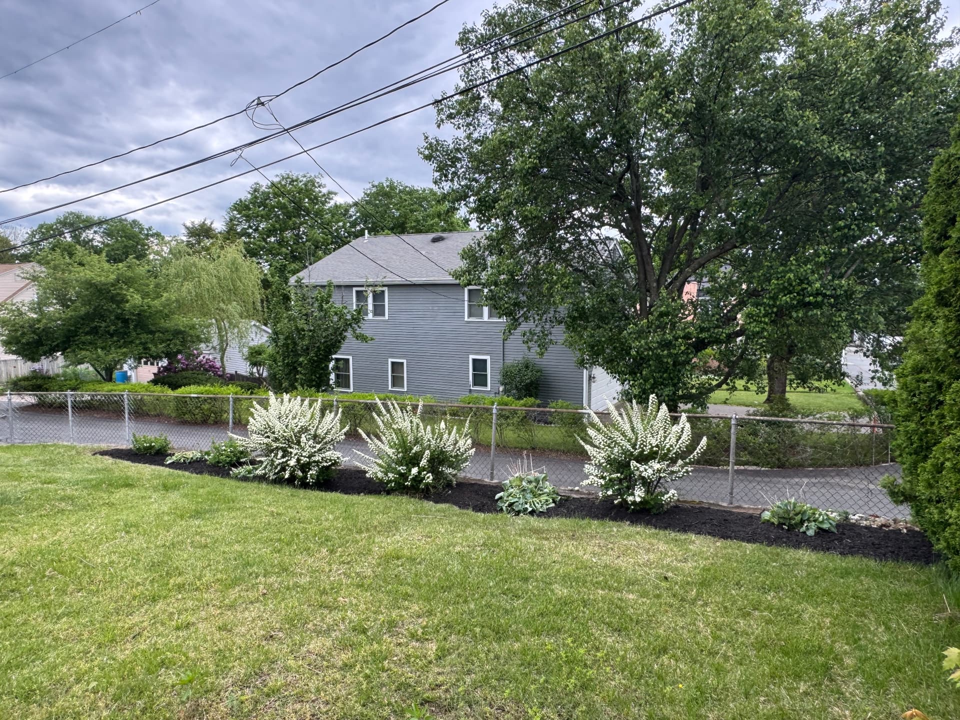 Dedham Shrub & Perennial Planting