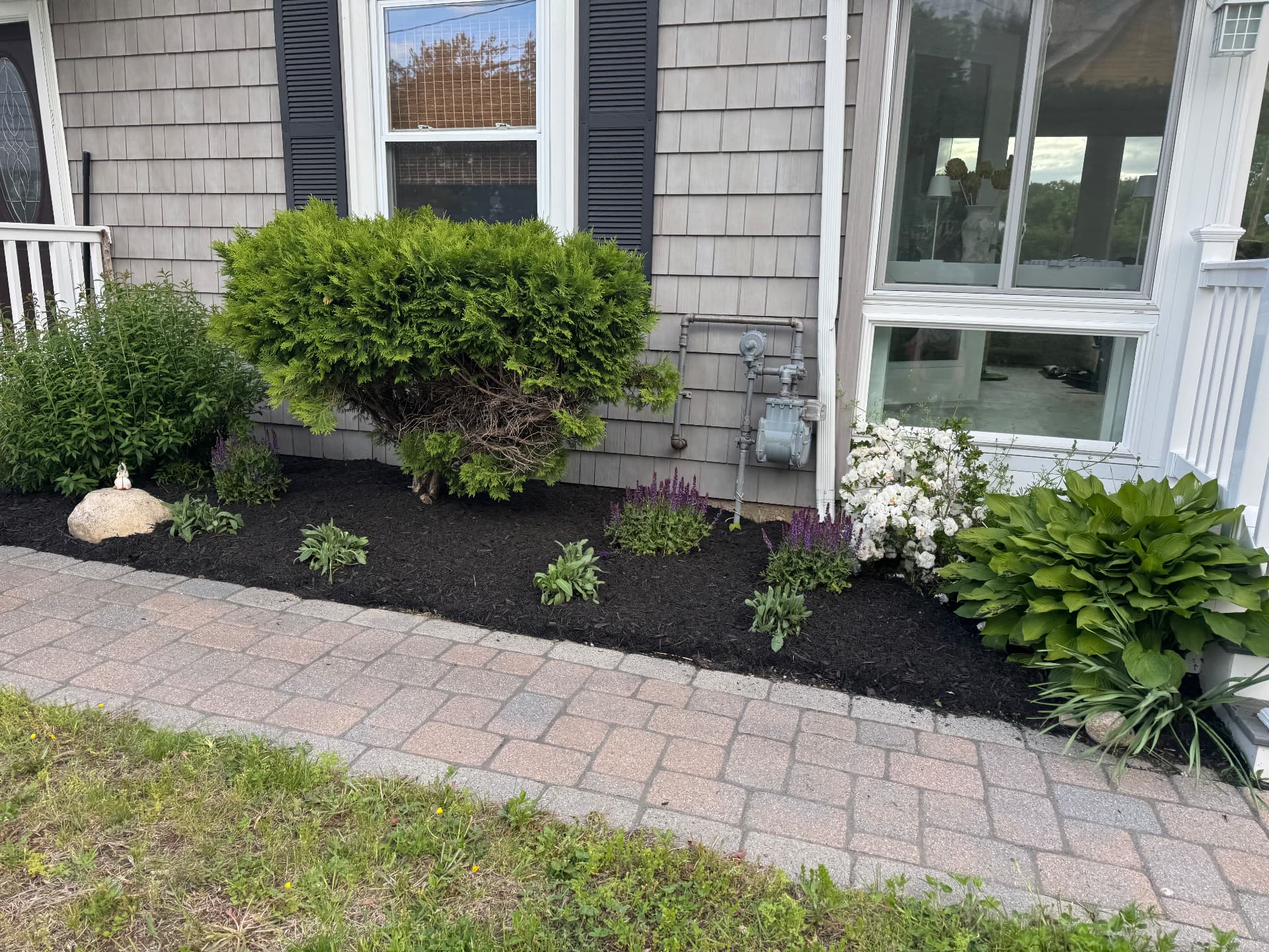Dedham Shrub & Perennial Planting — view 1