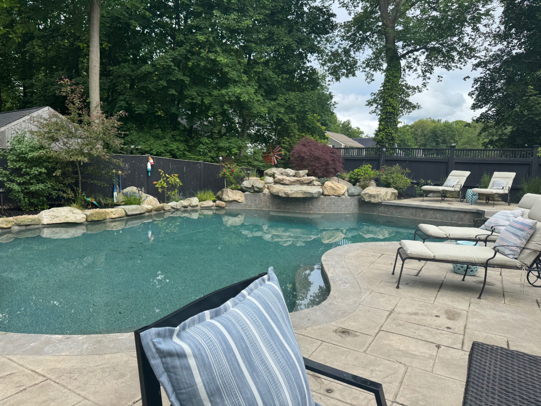 Freeform pool with natural boulder waterfall, Japanese maple, and lush border plantings