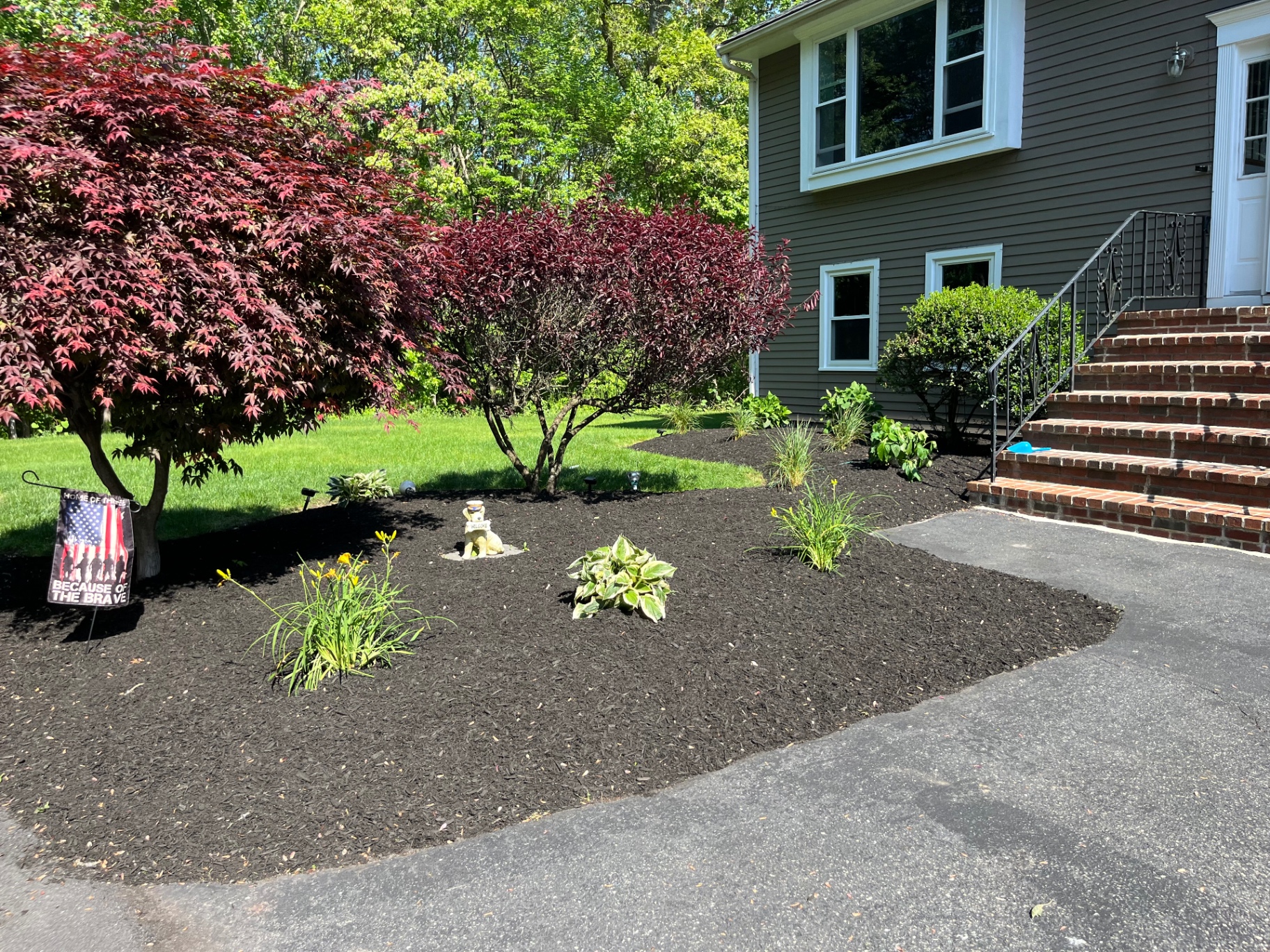 Front yard bed refresh with Japanese maples, ninebark shrubs, and fresh black mulch