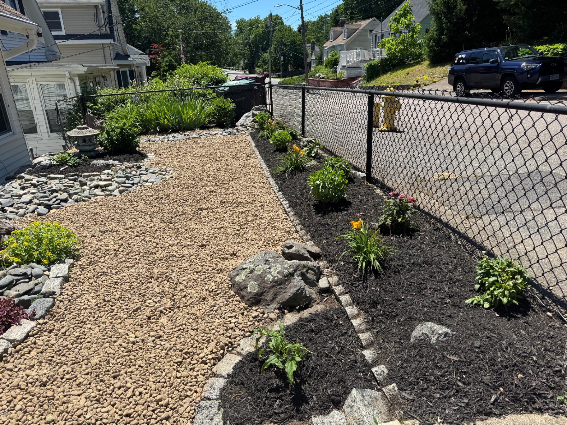 Pebble garden bordered with cobblestones and new plantings along a black chain-link fence