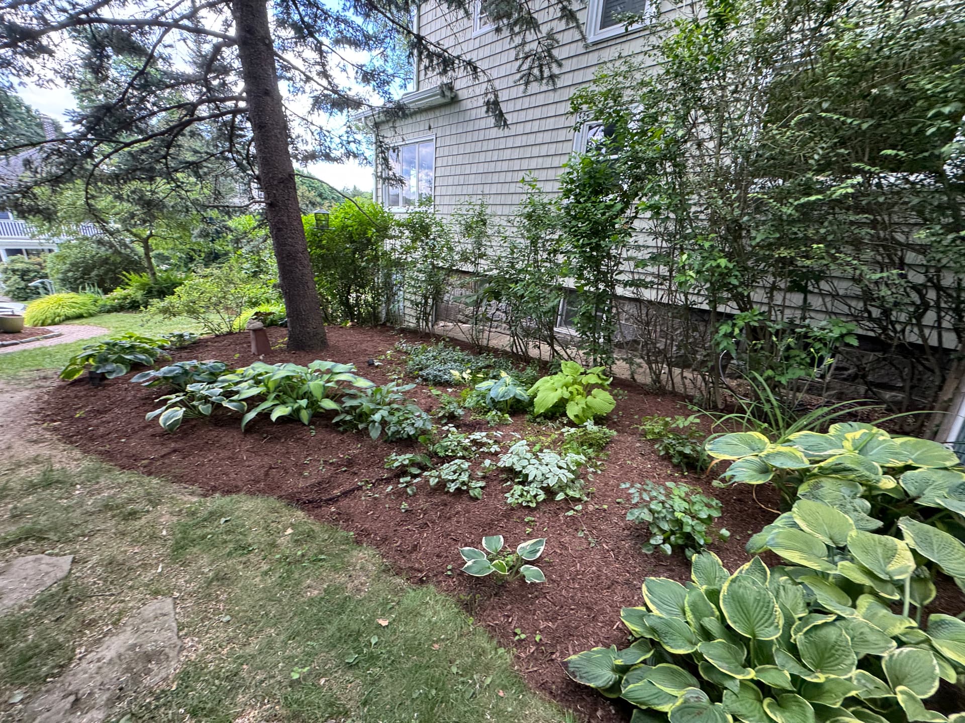West Roxbury Shade Garden — view 5