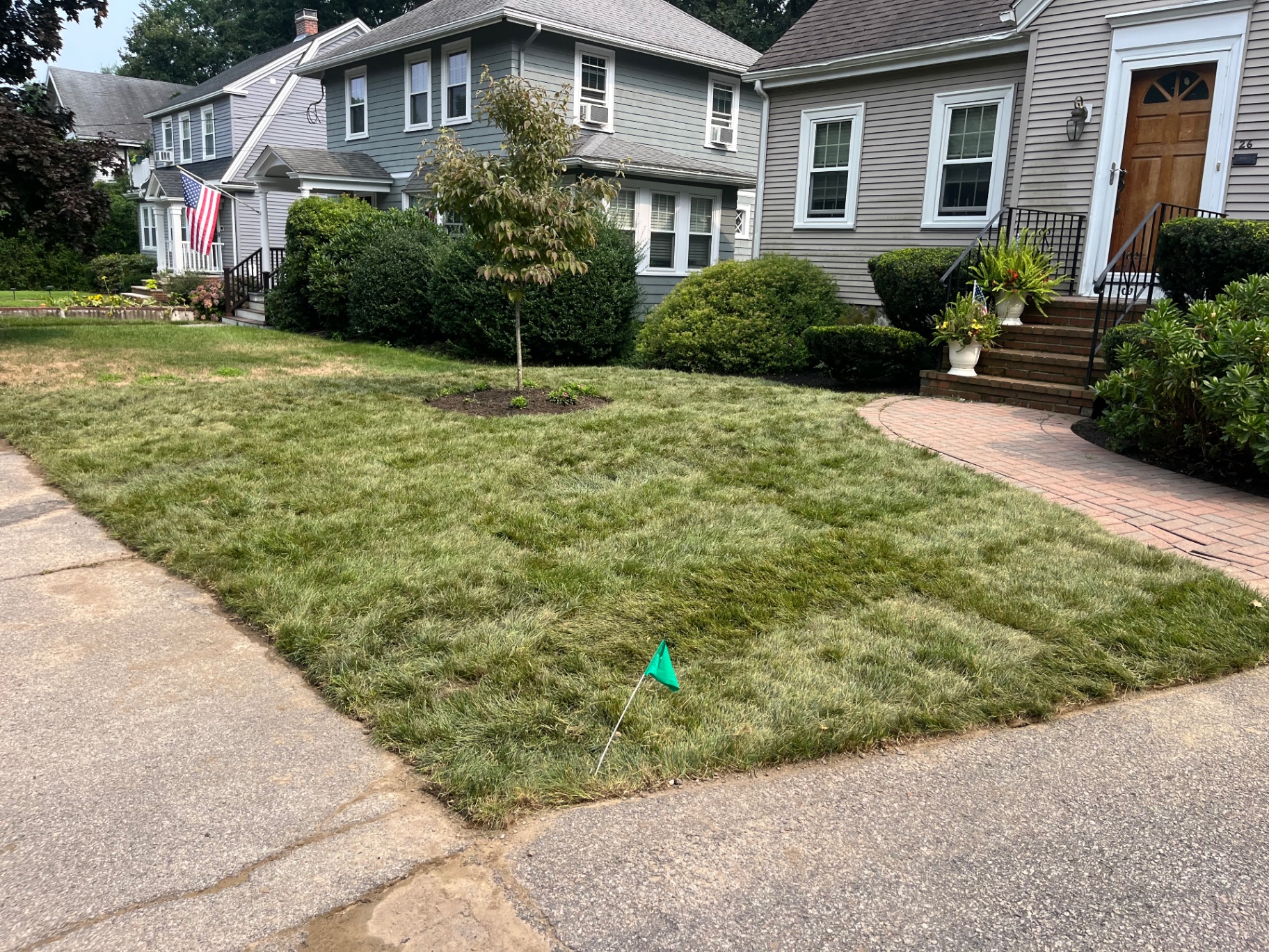 Front yard refresh with a newly planted tree, lawn installation, and brick walkway
