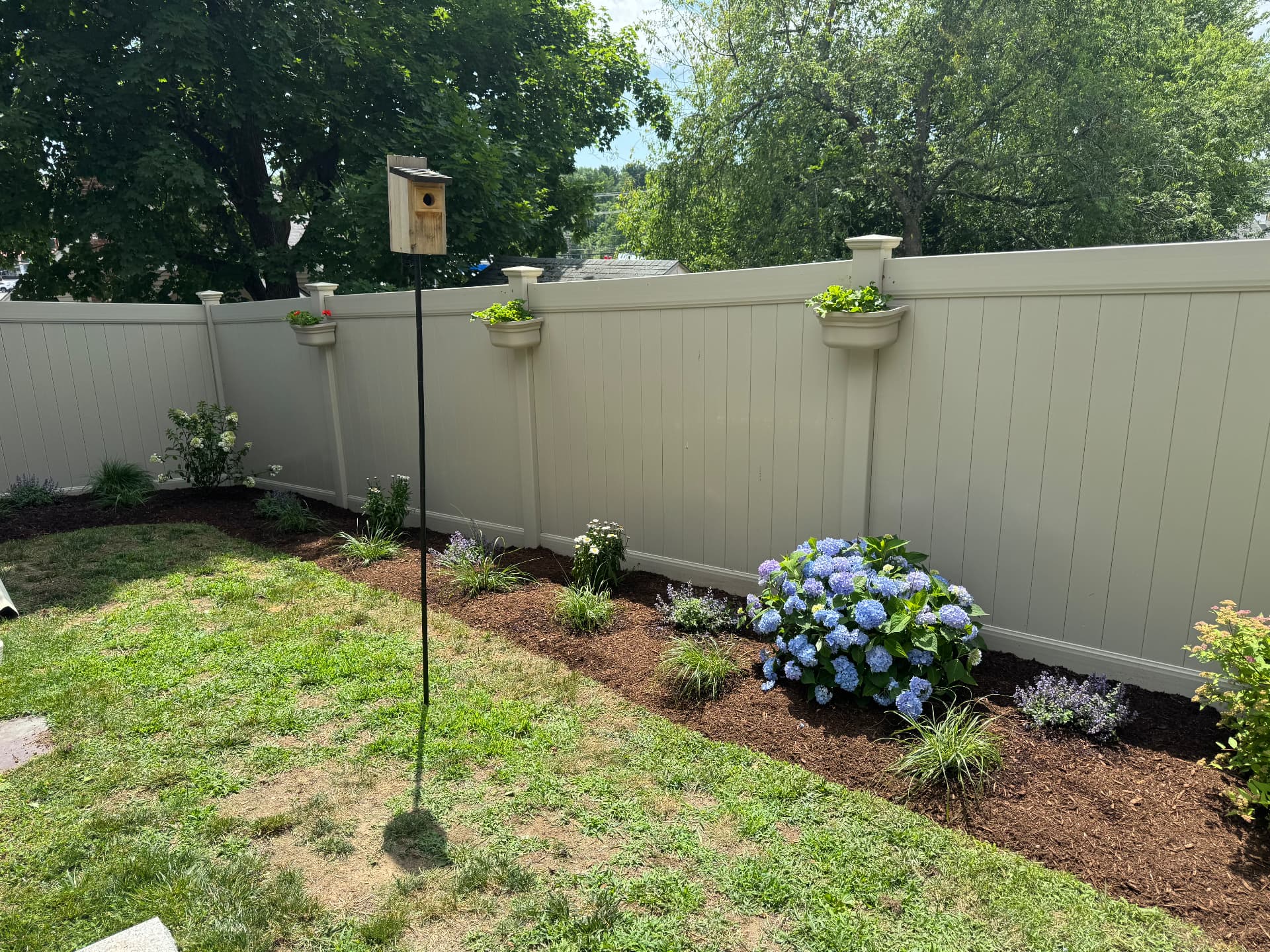 Walpole Garden Refresh