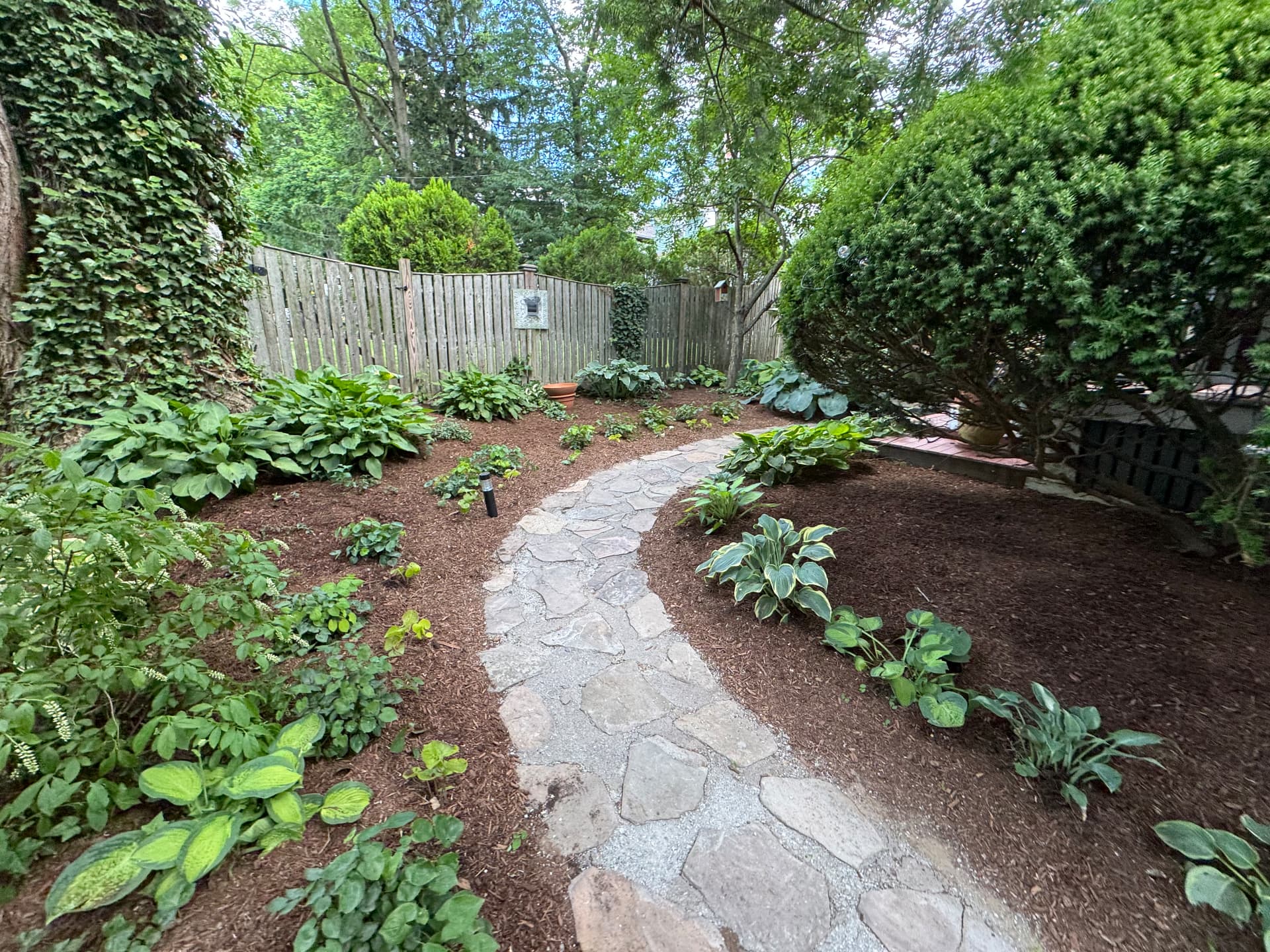 West Roxbury Shade Garden