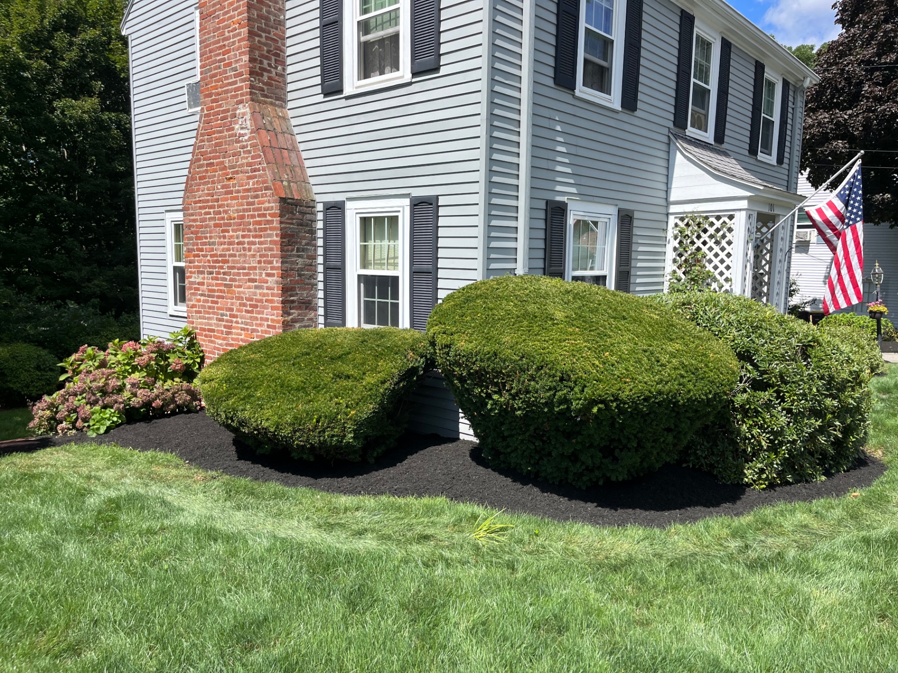 Front foundation bed with clipped boxwoods, hydrangeas, and fresh black mulch