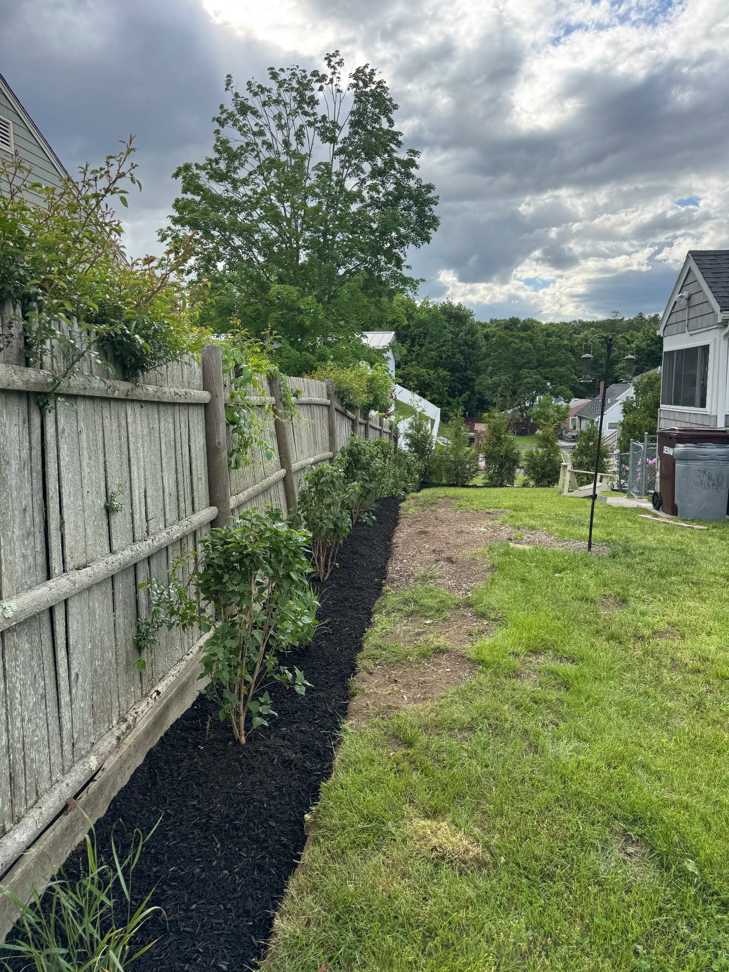 Dedham Shrub & Perennial Planting — view 3