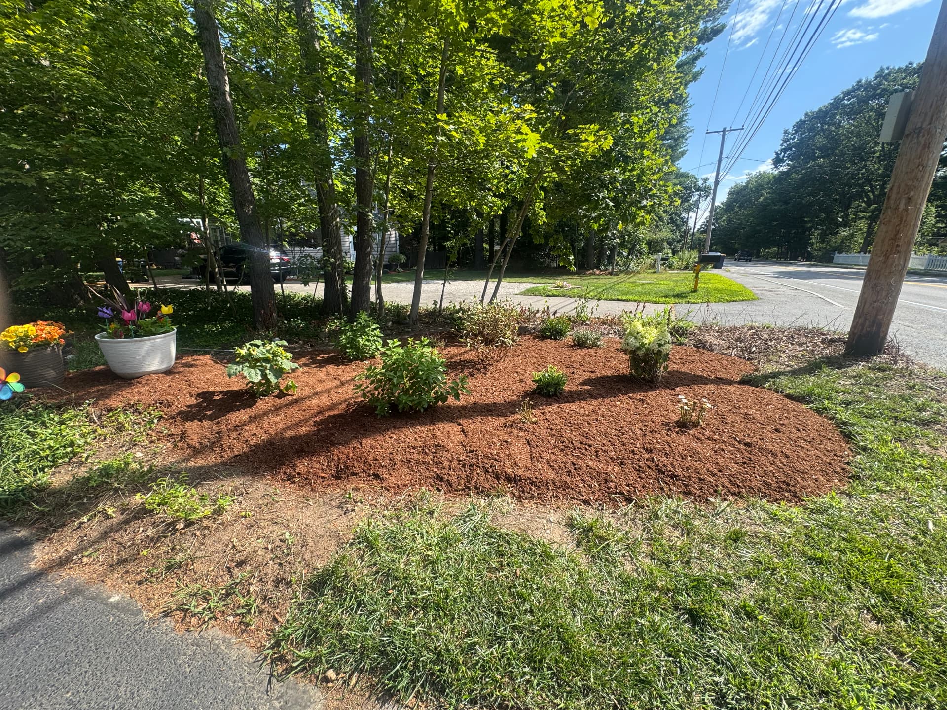 Sharon Corner Garden