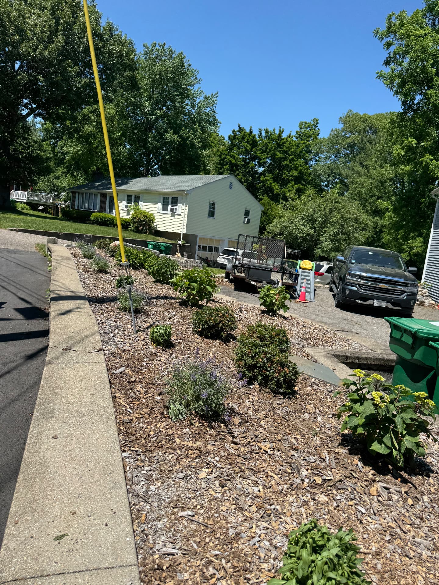 Westwood Street Wall Garden