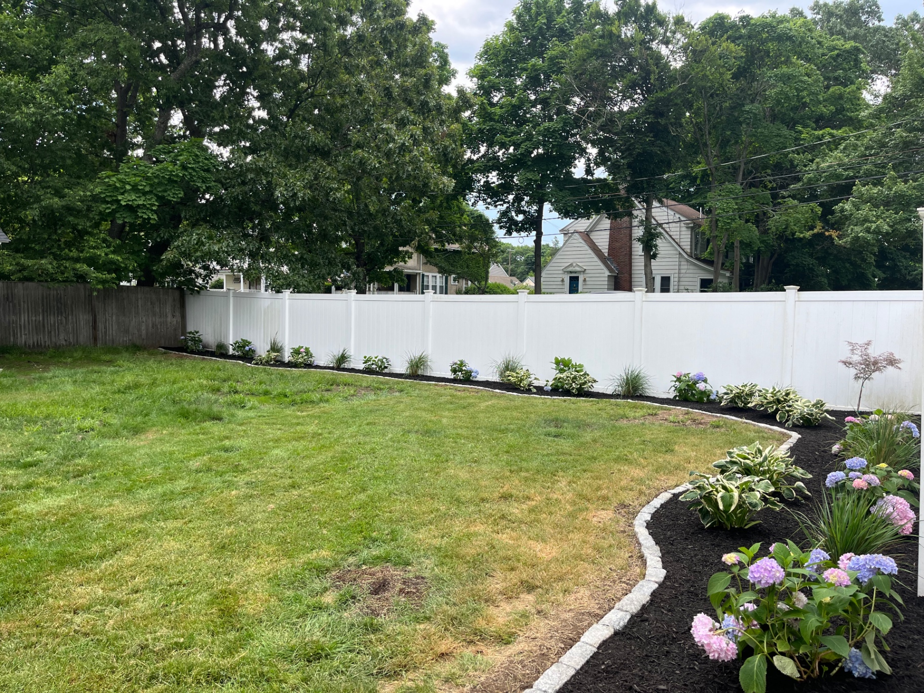 Backyard lawn with curved mulch bed along a white fence