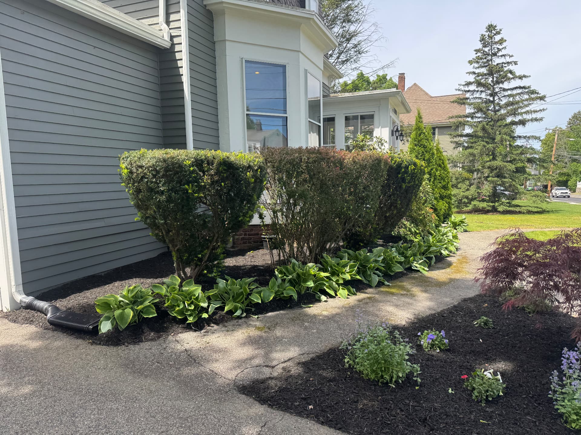 Needham Garden Renewal — view 3