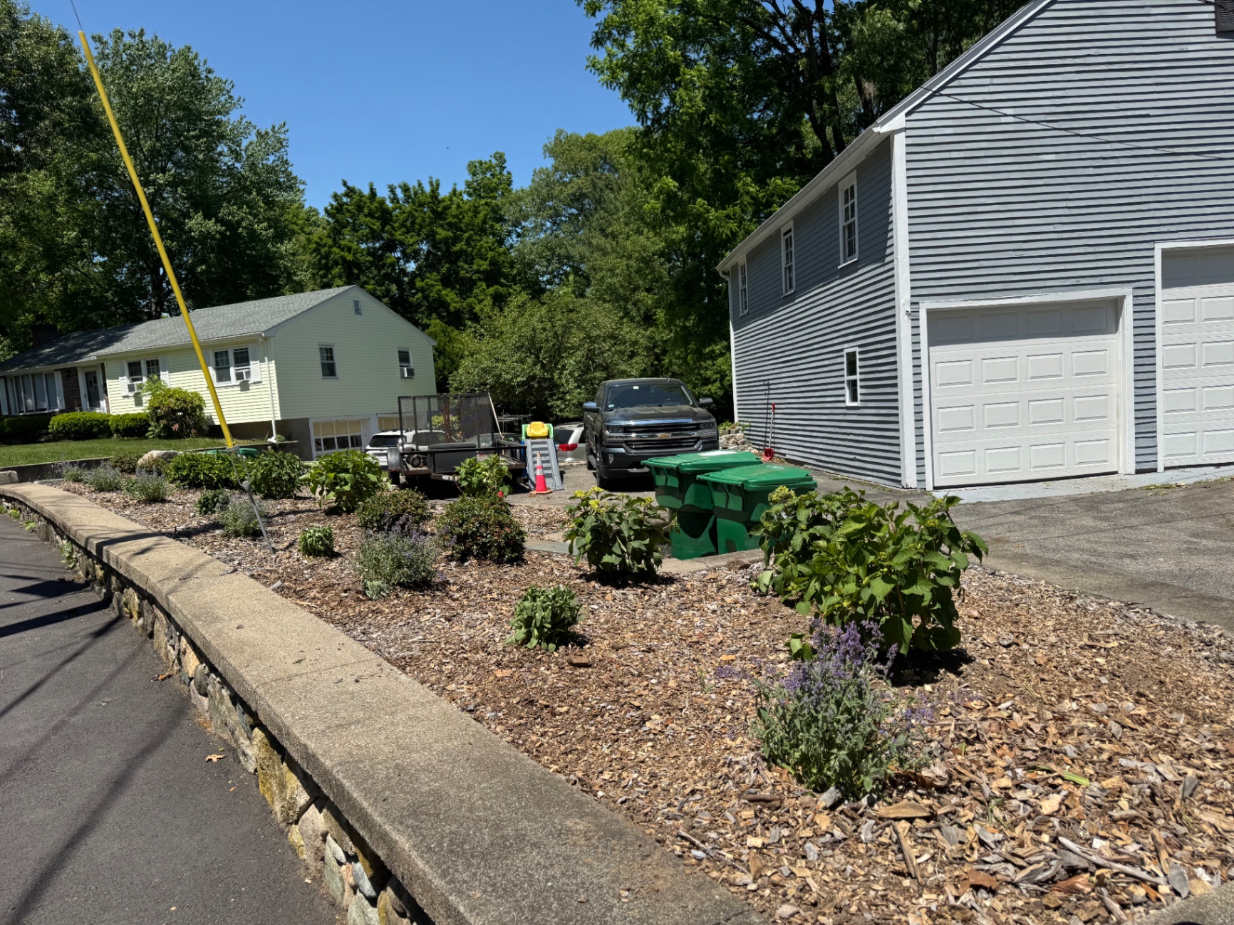 Closer view of new plantings in a driveway-side bed above a stone wall