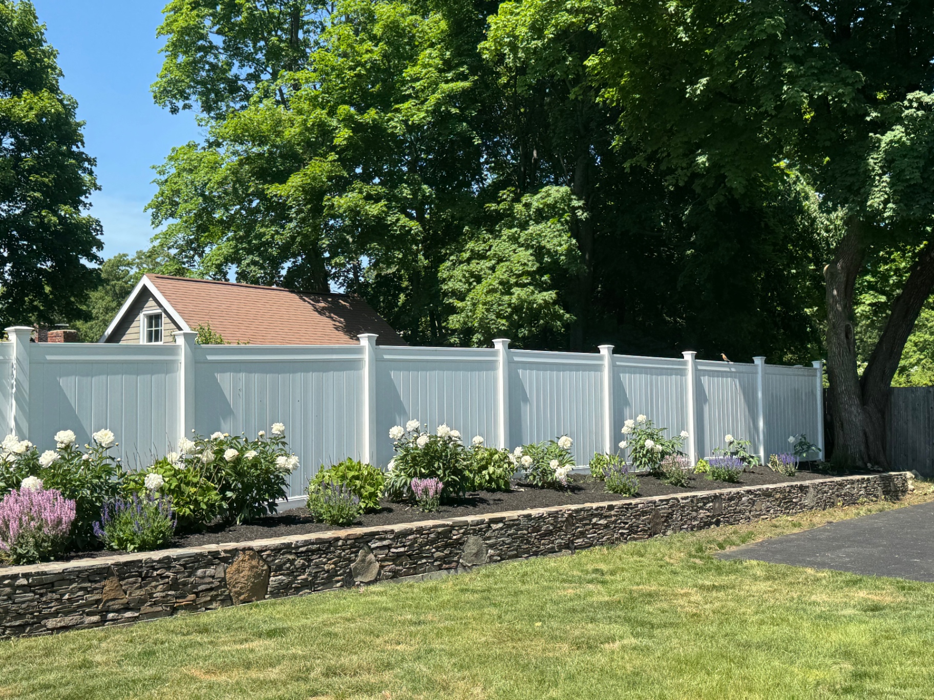 White flowering plantings along a stone wall and white fence