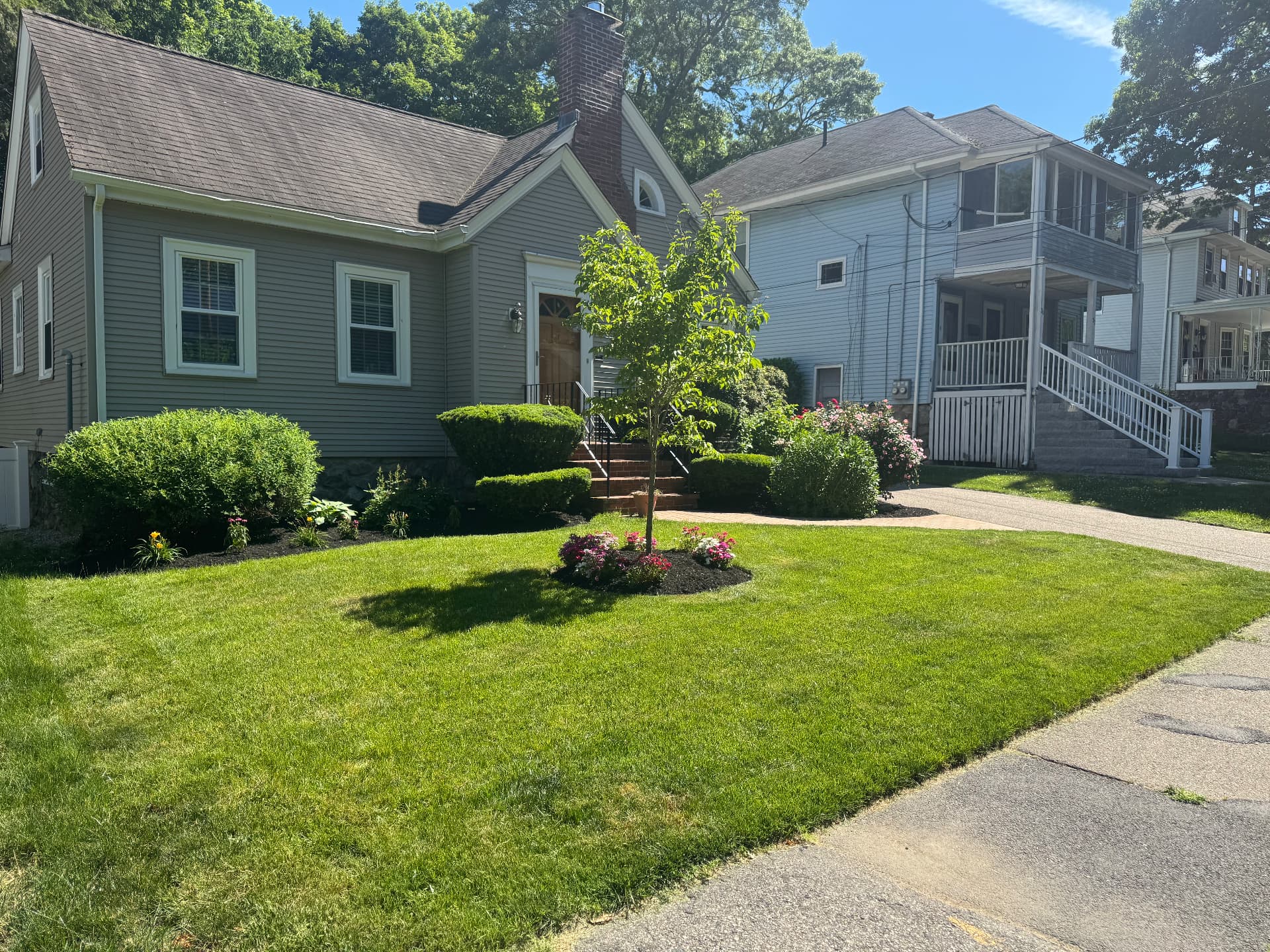 Dedham Lawn Makeover