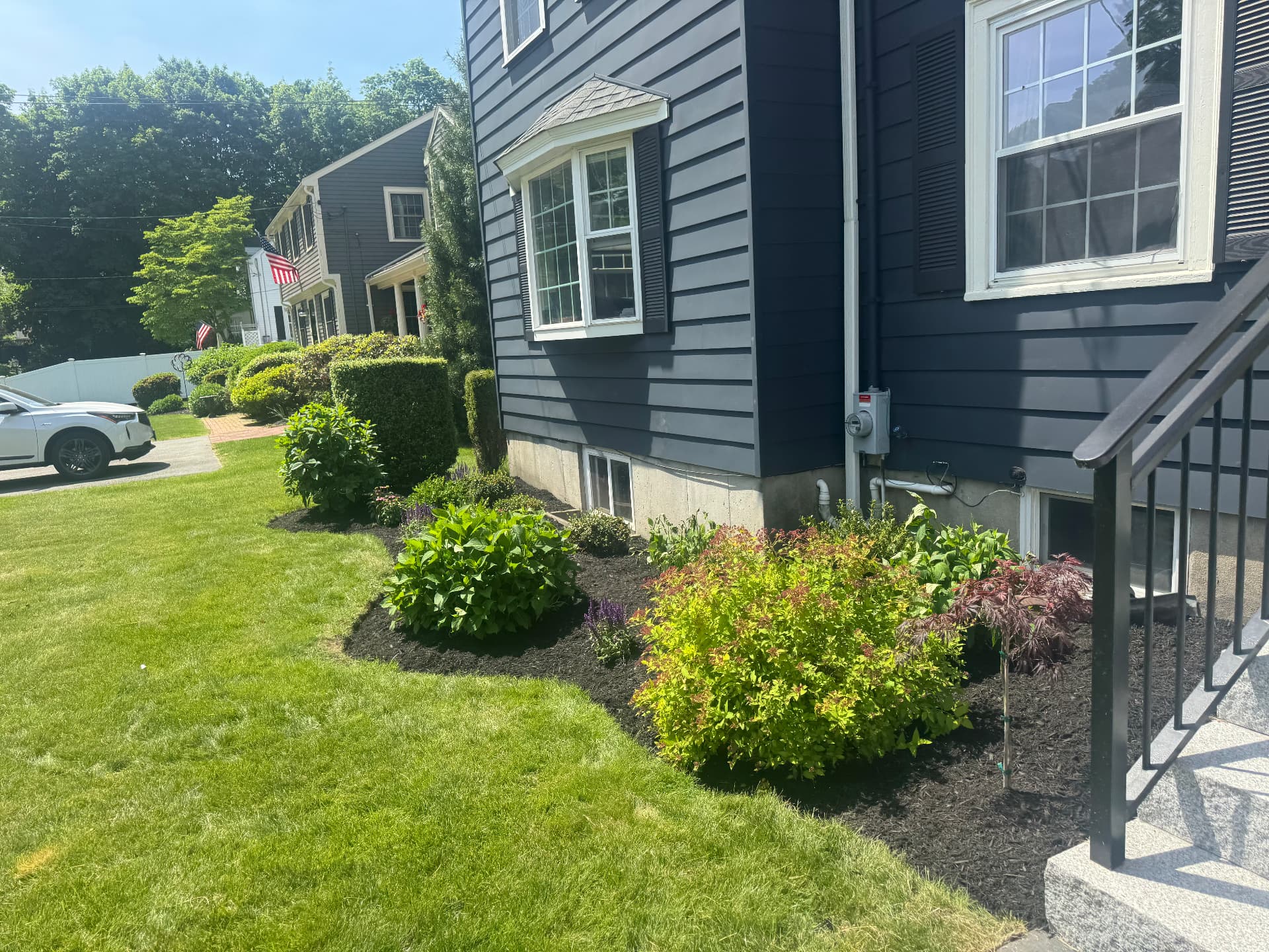 Dedham Foundation Planting — view 3