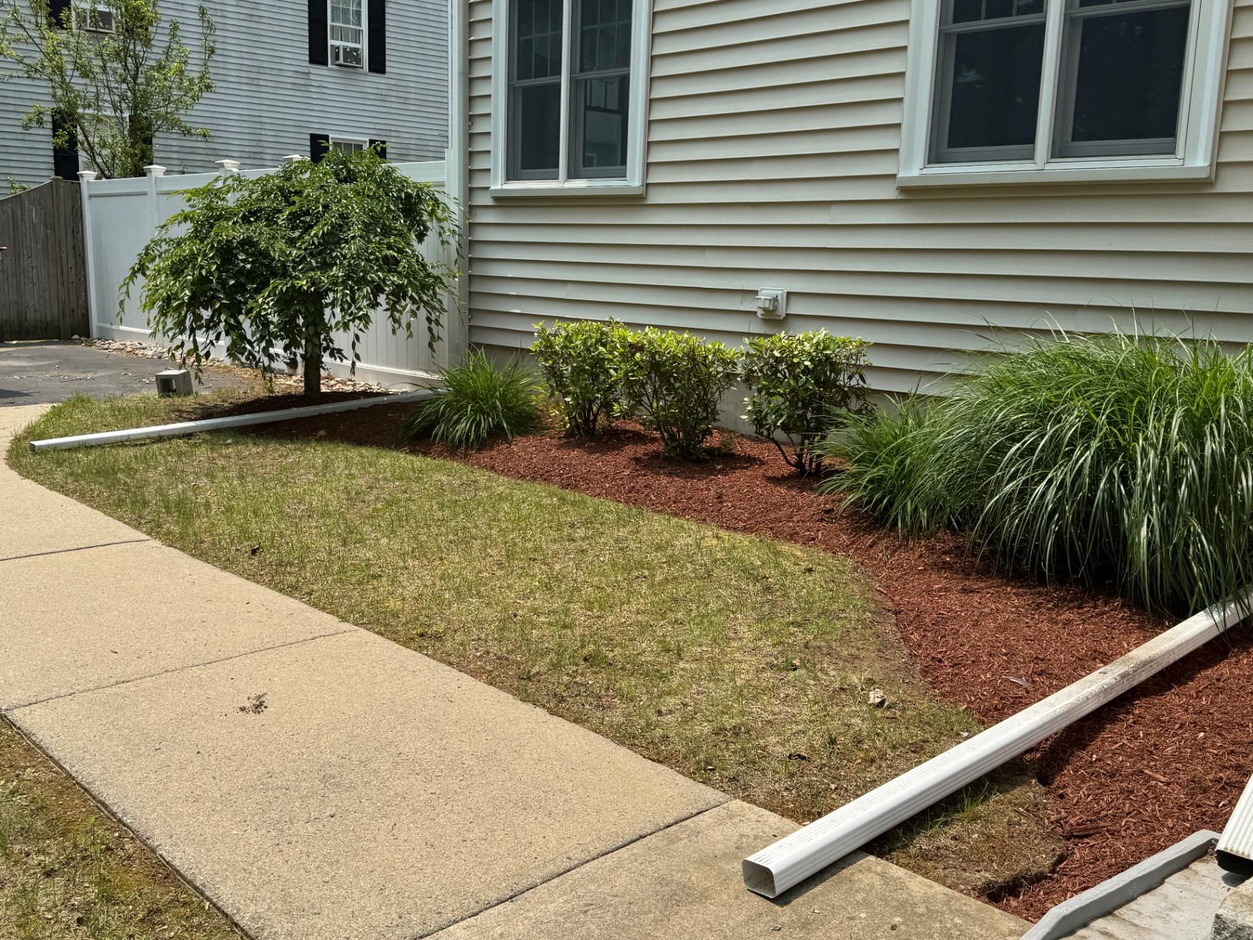 Side foundation bed with shrubs, ornamental grasses, and fresh red mulch