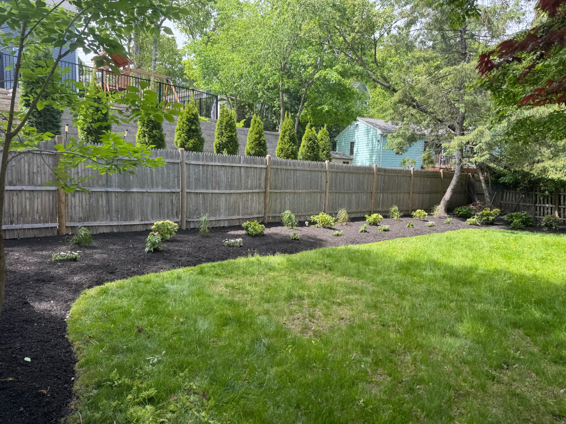 Curved backyard fence bed with shrubs, grasses, and fresh mulch