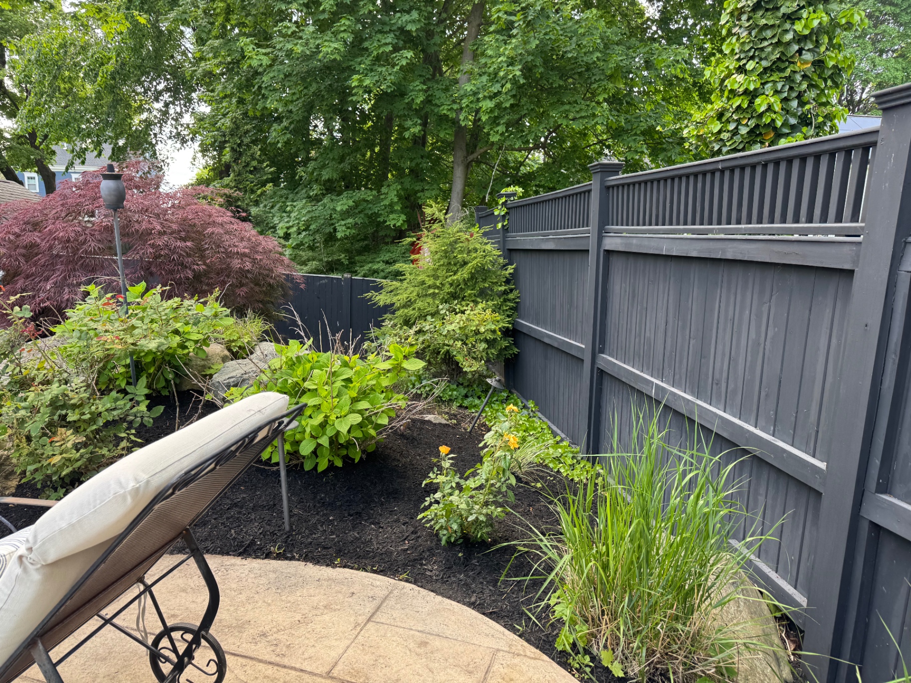 Patio-side fence bed with hydrangea, roses, ornamental grasses, and fresh black mulch