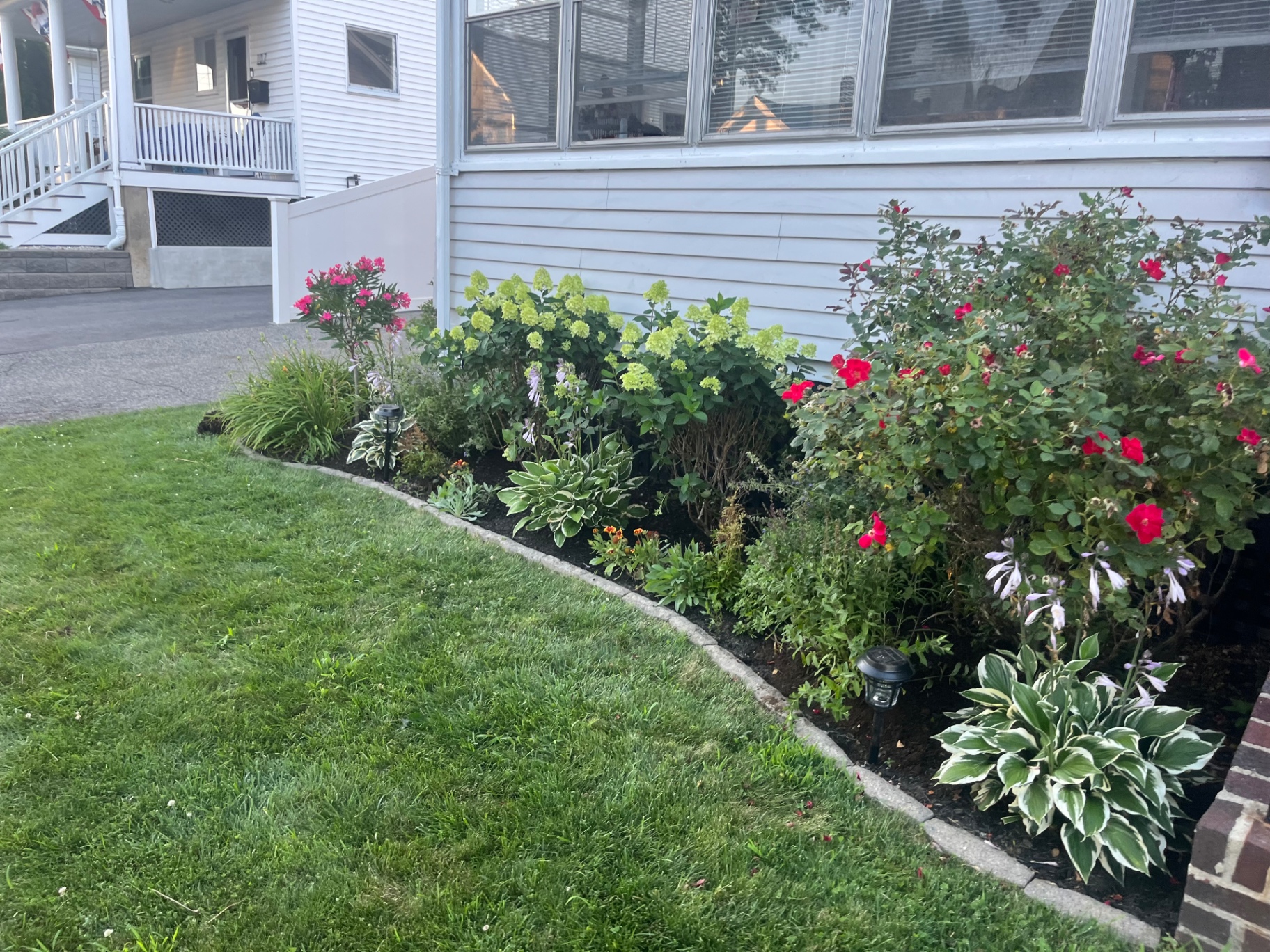 Mixed foundation bed with roses, hydrangeas, and hostas along a white home