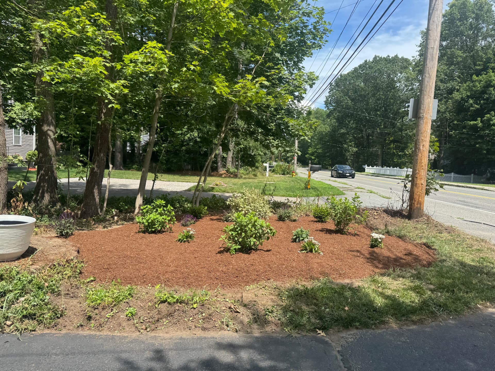 Sharon Corner Garden — view 2