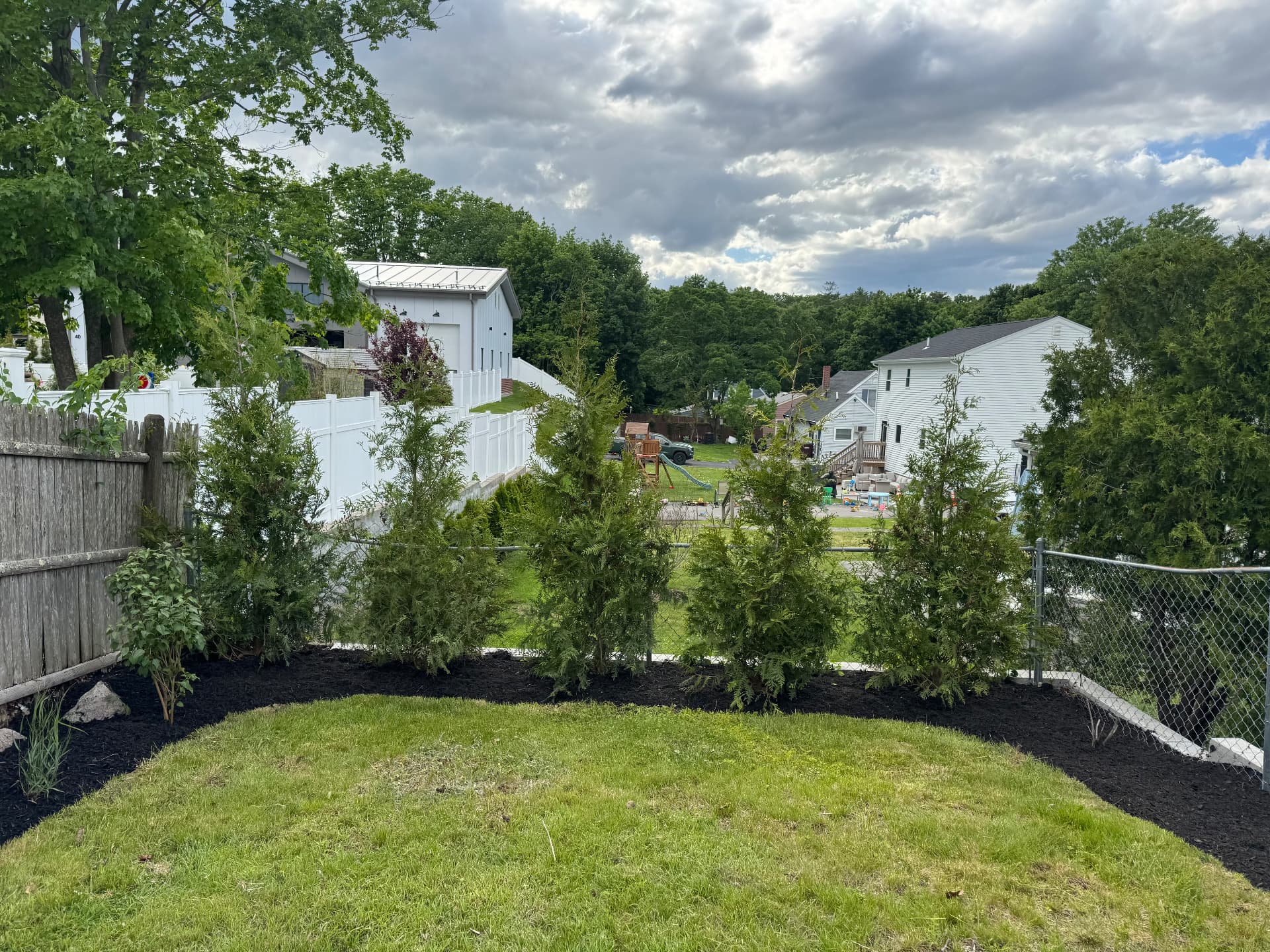 Dedham Shrub & Perennial Planting — view 2