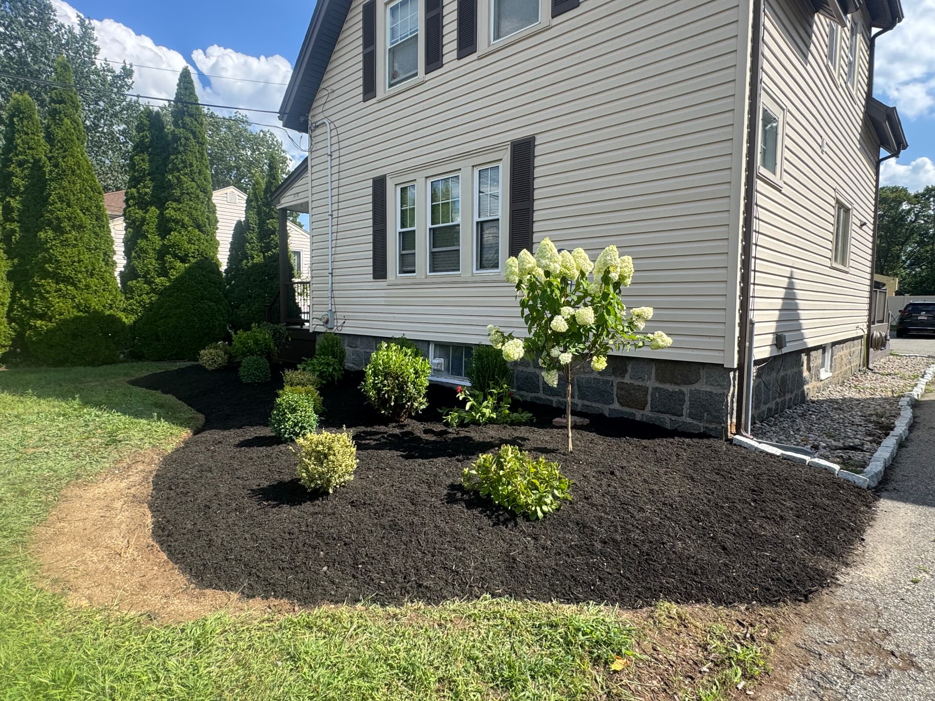 Dedham Evergreen Foundation — view 2
