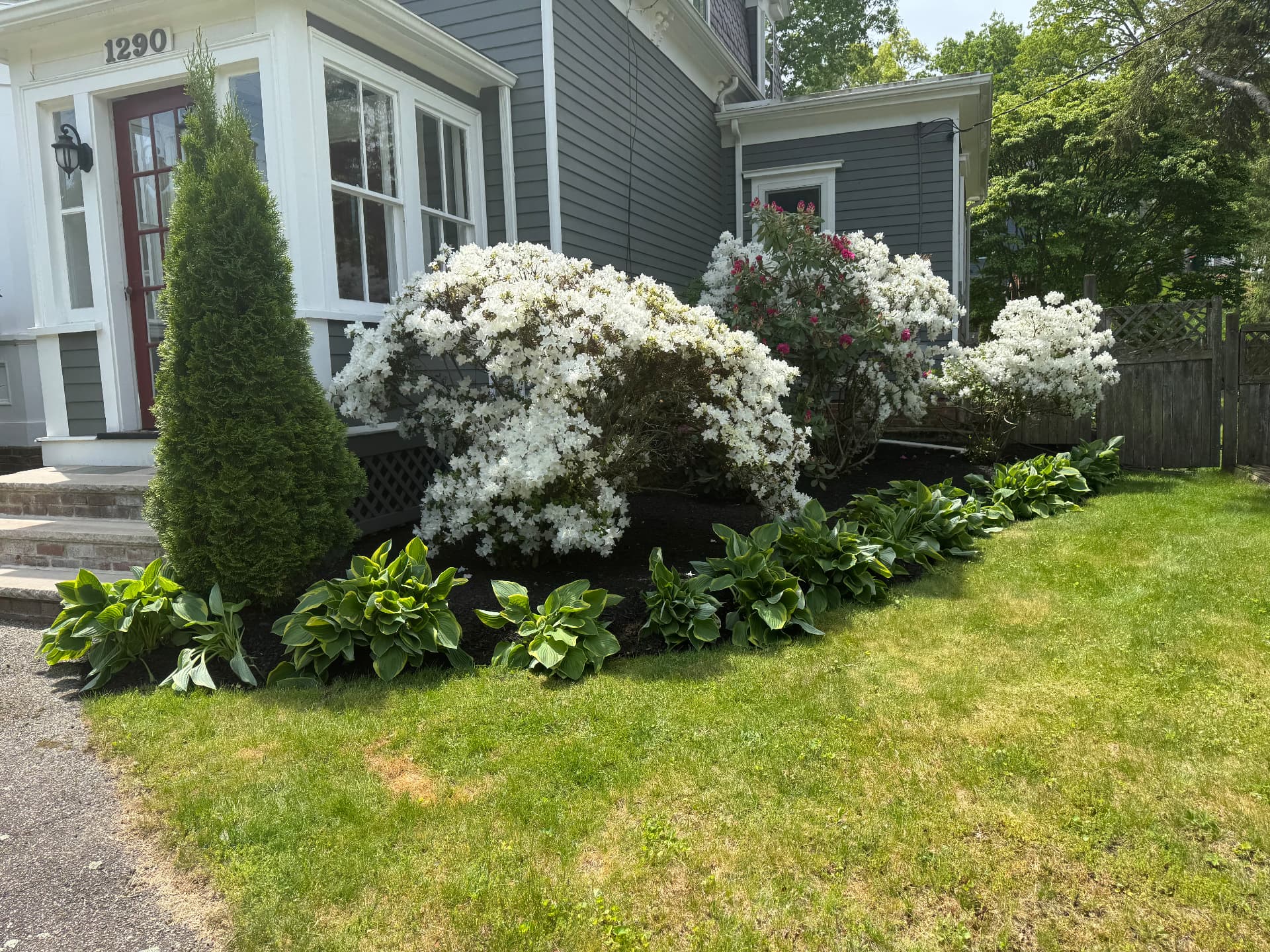 Needham Garden Renewal