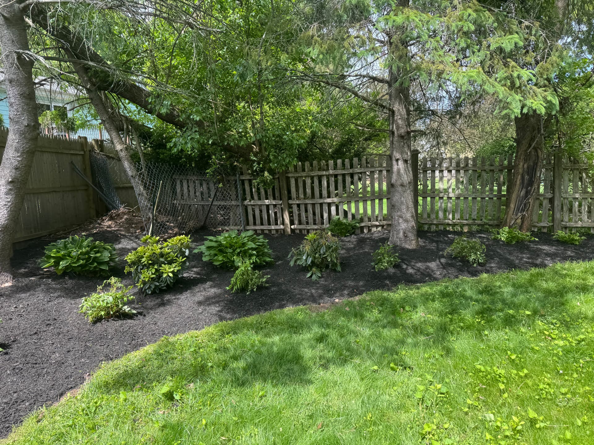 Needham Garden Renewal — view 7