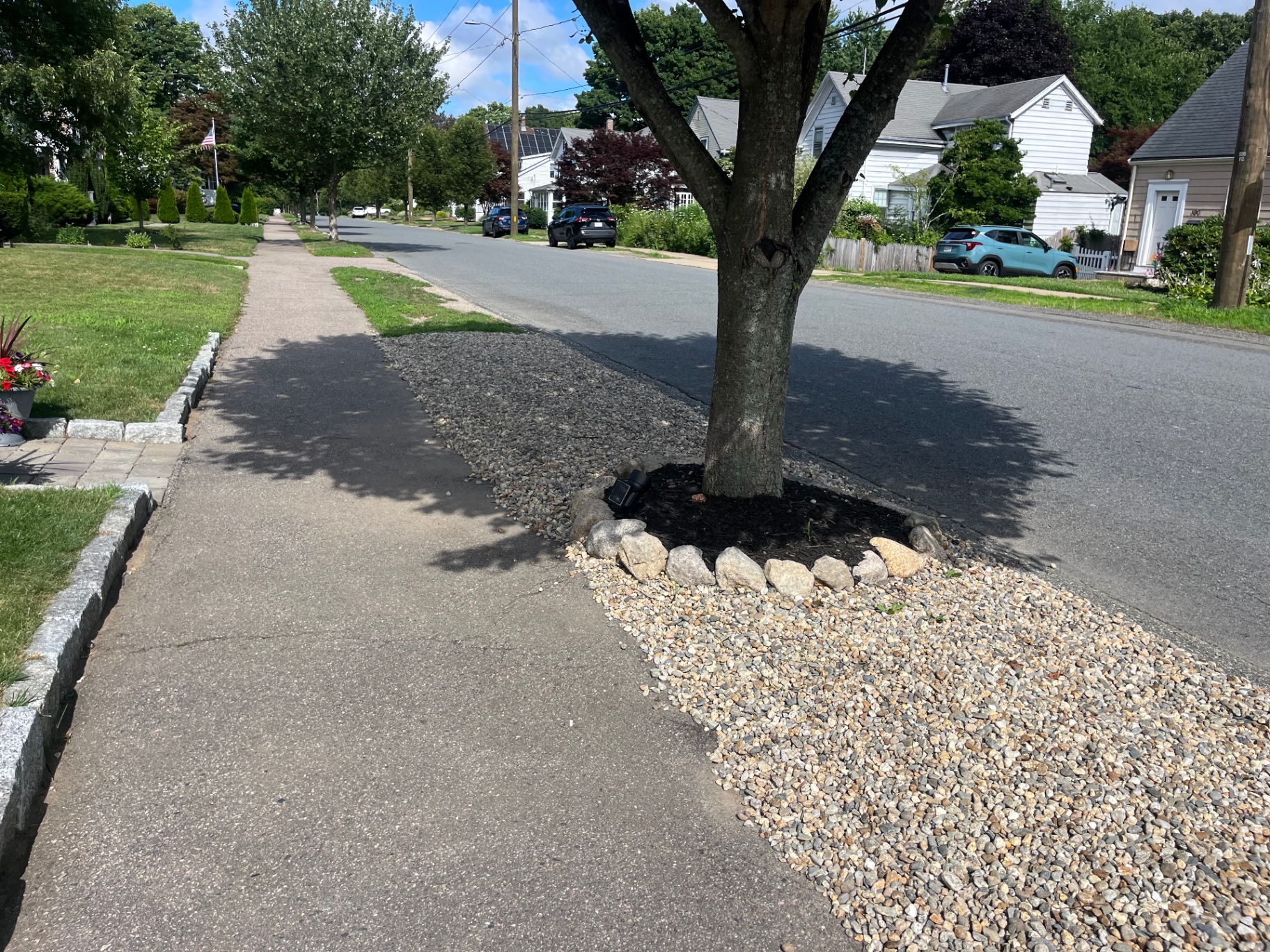Street tree ring with fieldstone border and river rock mulch