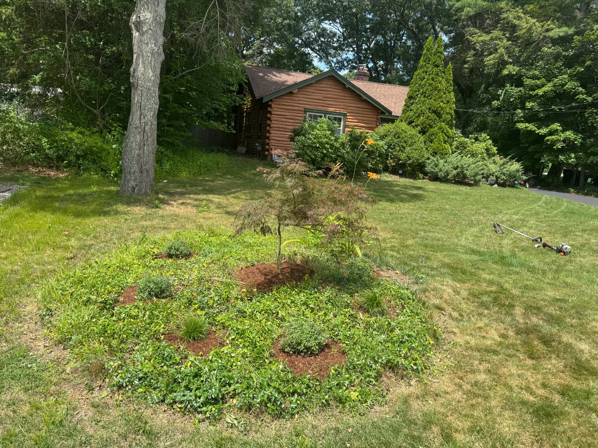 Sharon Corner Garden — view 4