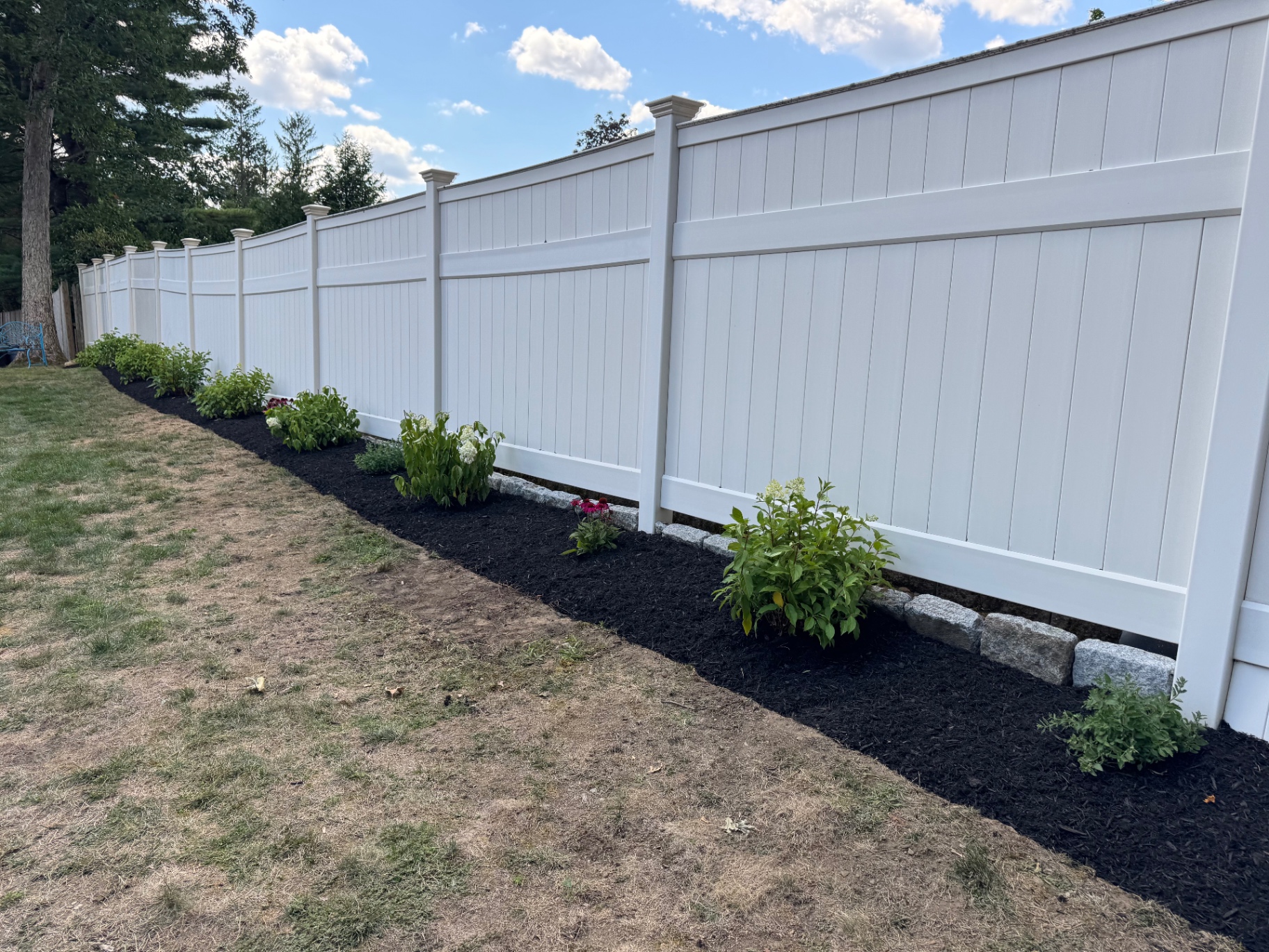 Row of hydrangeas with cobblestone border along a white fence