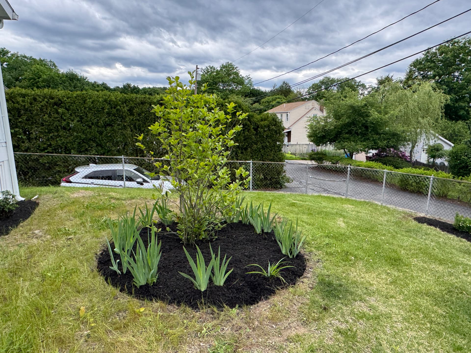 Dedham Shrub & Perennial Planting — view 7