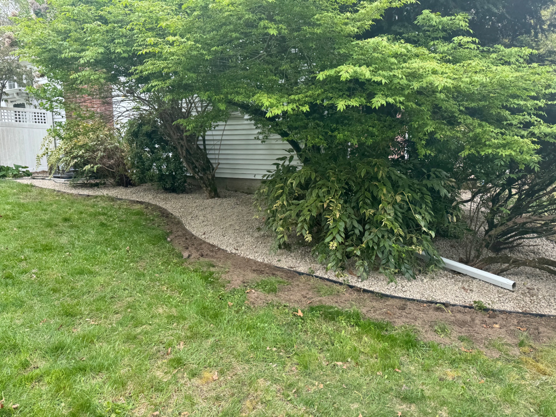 Curved white stone shade bed beneath mature shrubs and trees